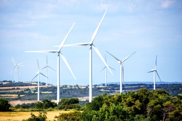 bonos verdes